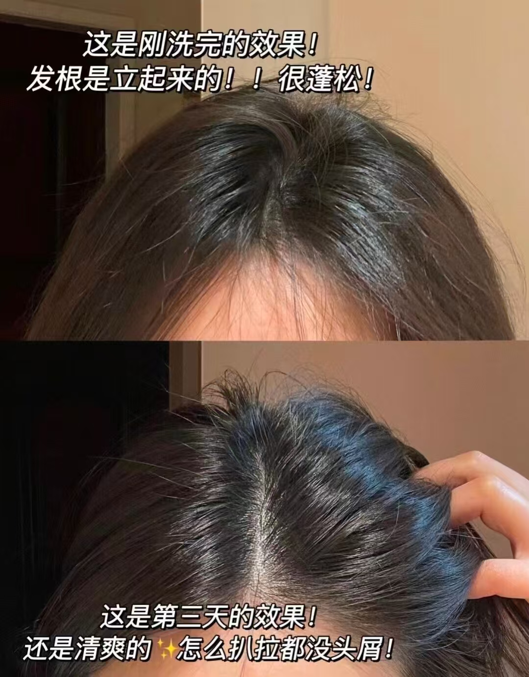阿道夫山茶花洗护任选3件 44.5元 - 86线报
