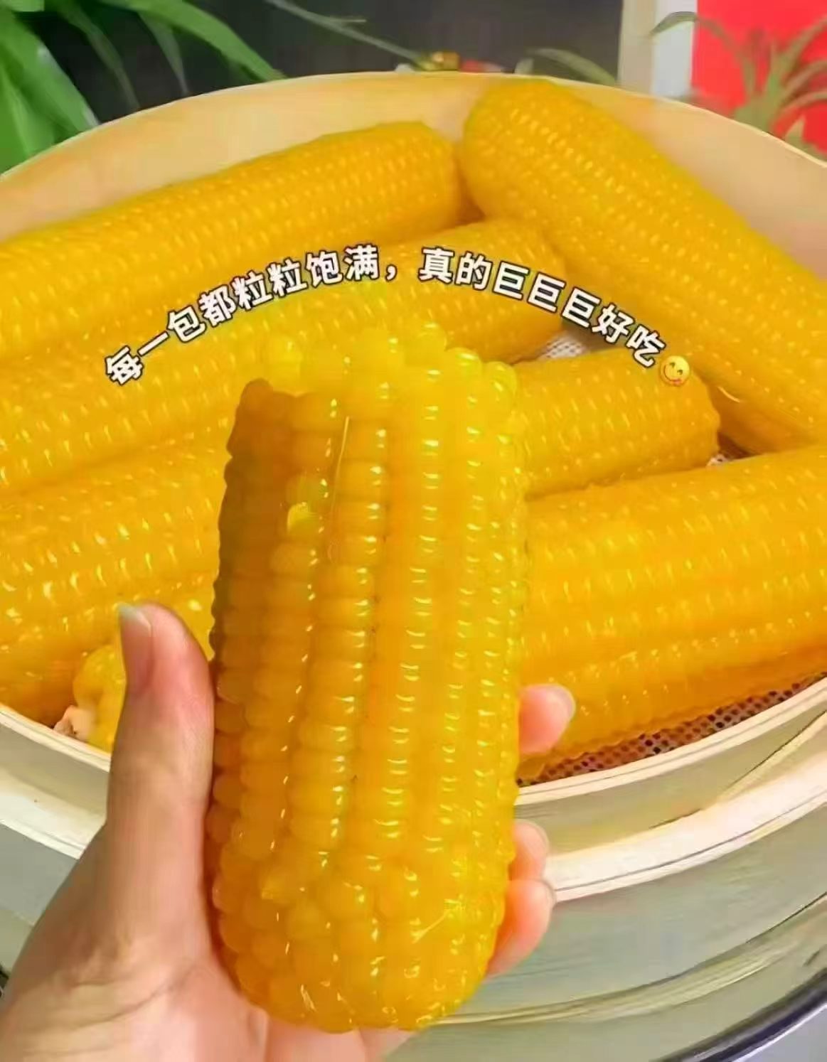 刘老杆黄糯玉米蕞多13根到手1760g 16.9元 - 86线报 刘老杆黄糯玉米蕞多13根到手1760g 16.9元 - 86线报