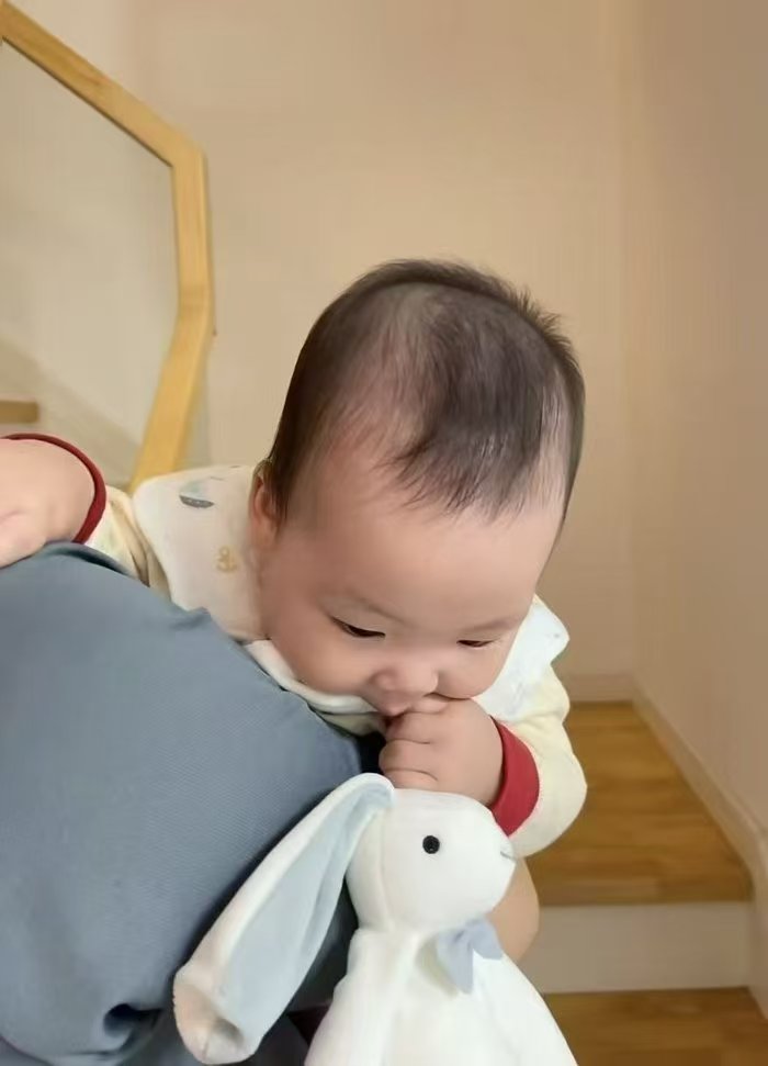 澳贝星意小兔安抚巾 28元 - 86线报