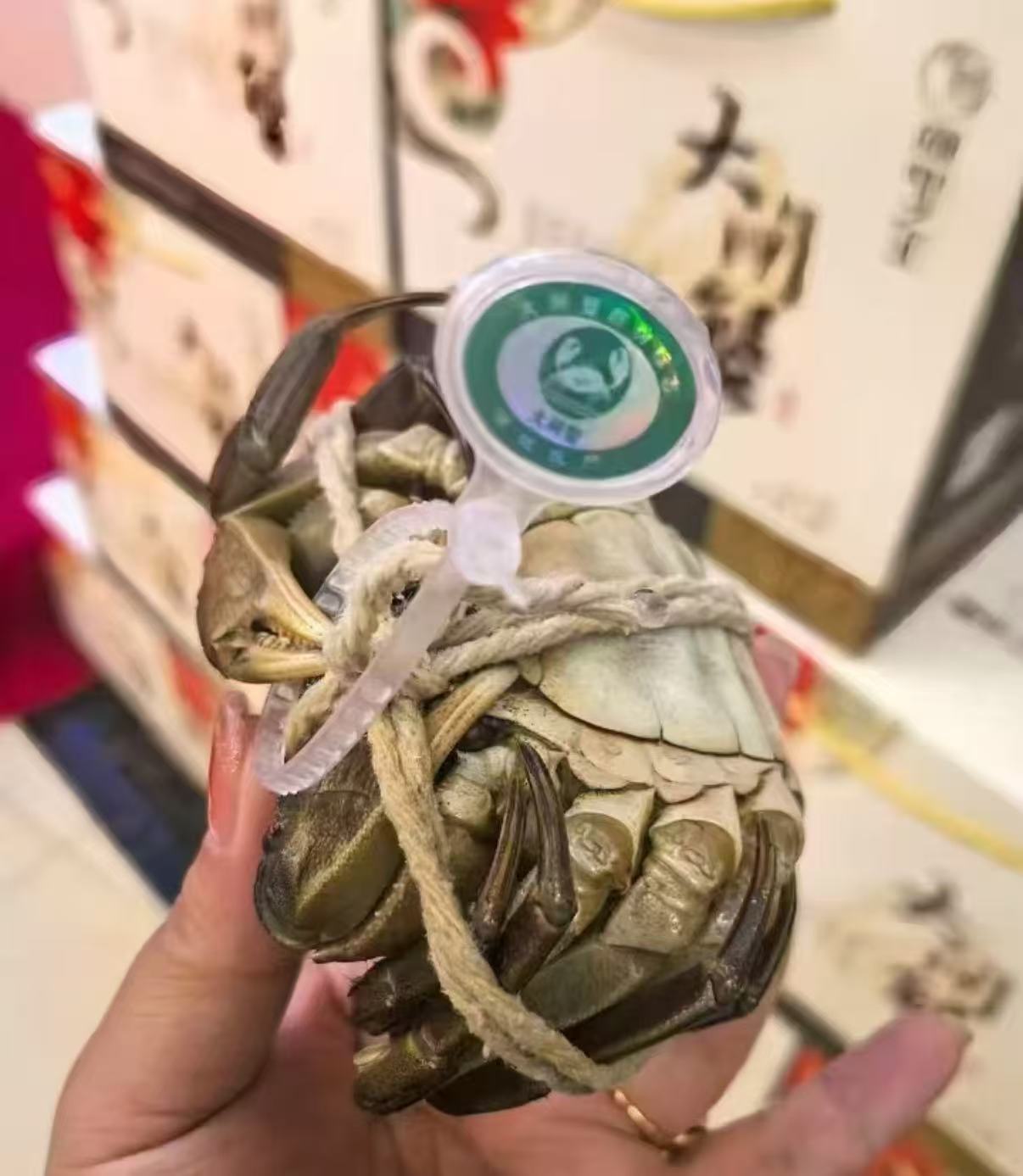 湖中之王大闸蟹螃蟹卷1588型4对8只公3.5两+母2.5两 158元 - 86线报