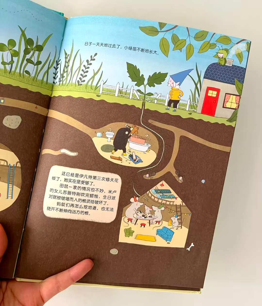 一颗种子掉下来 12元 - 86线报
