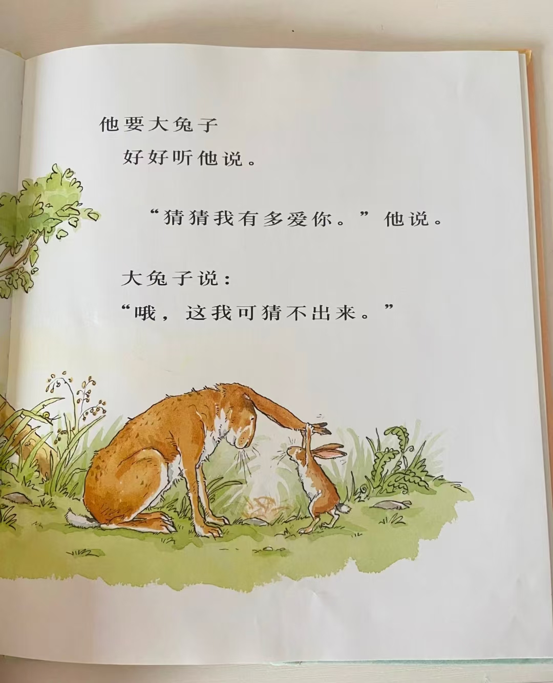 猜猜我有多爱你 15.2元 - 86线报