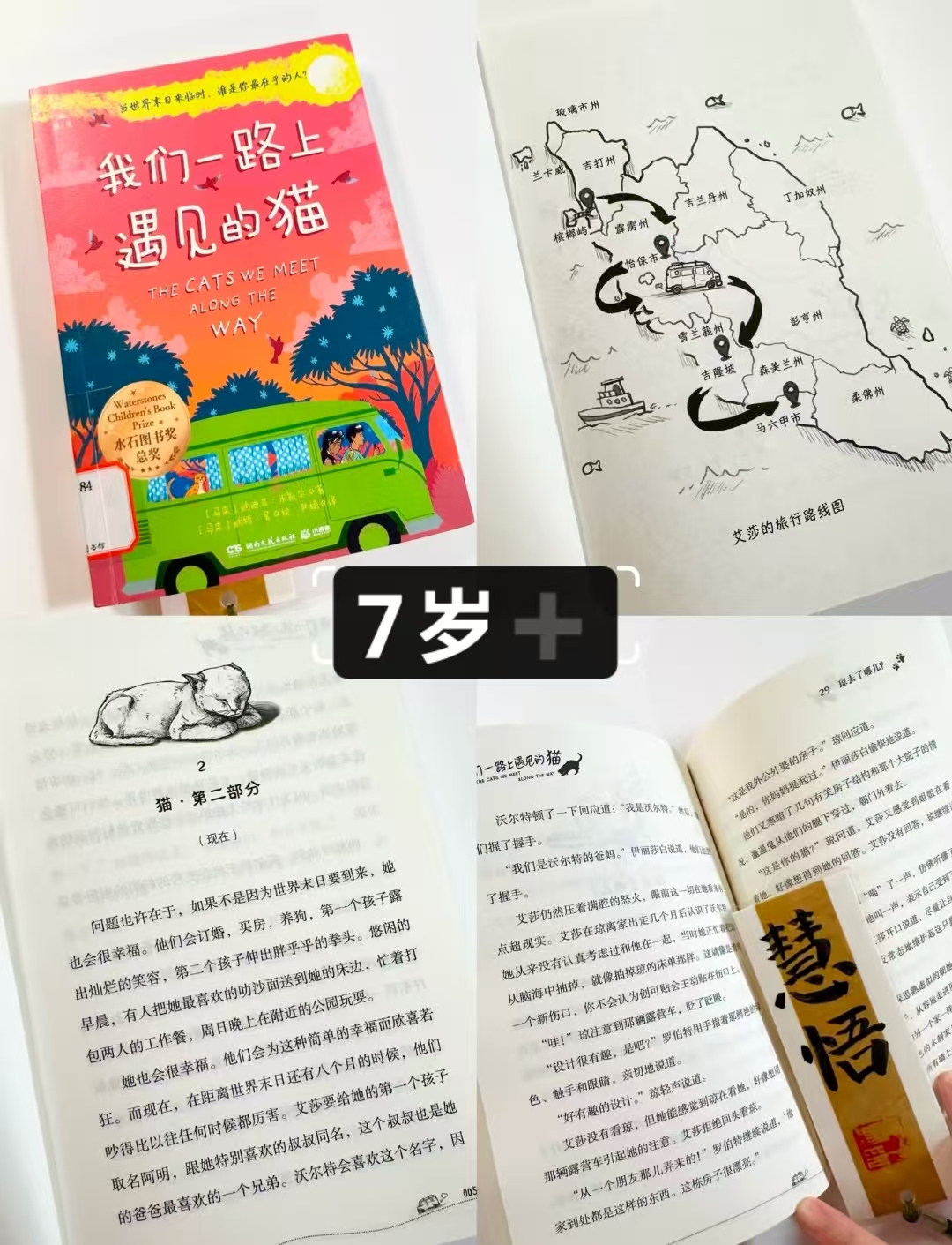 我们一路上遇见的猫儿童读物 11.9元 - 线报酷