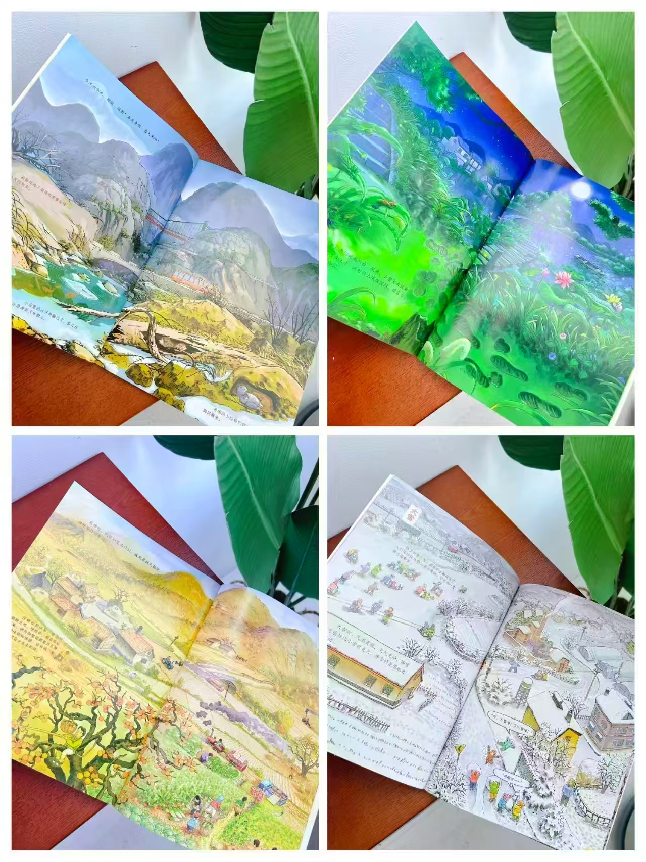 四季的变化4册 8.5元 - 86线报
