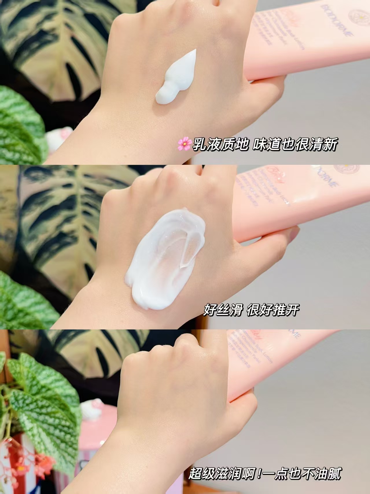 贝德美蓝甘菊身体乳110g/大支 24元 - 86线报