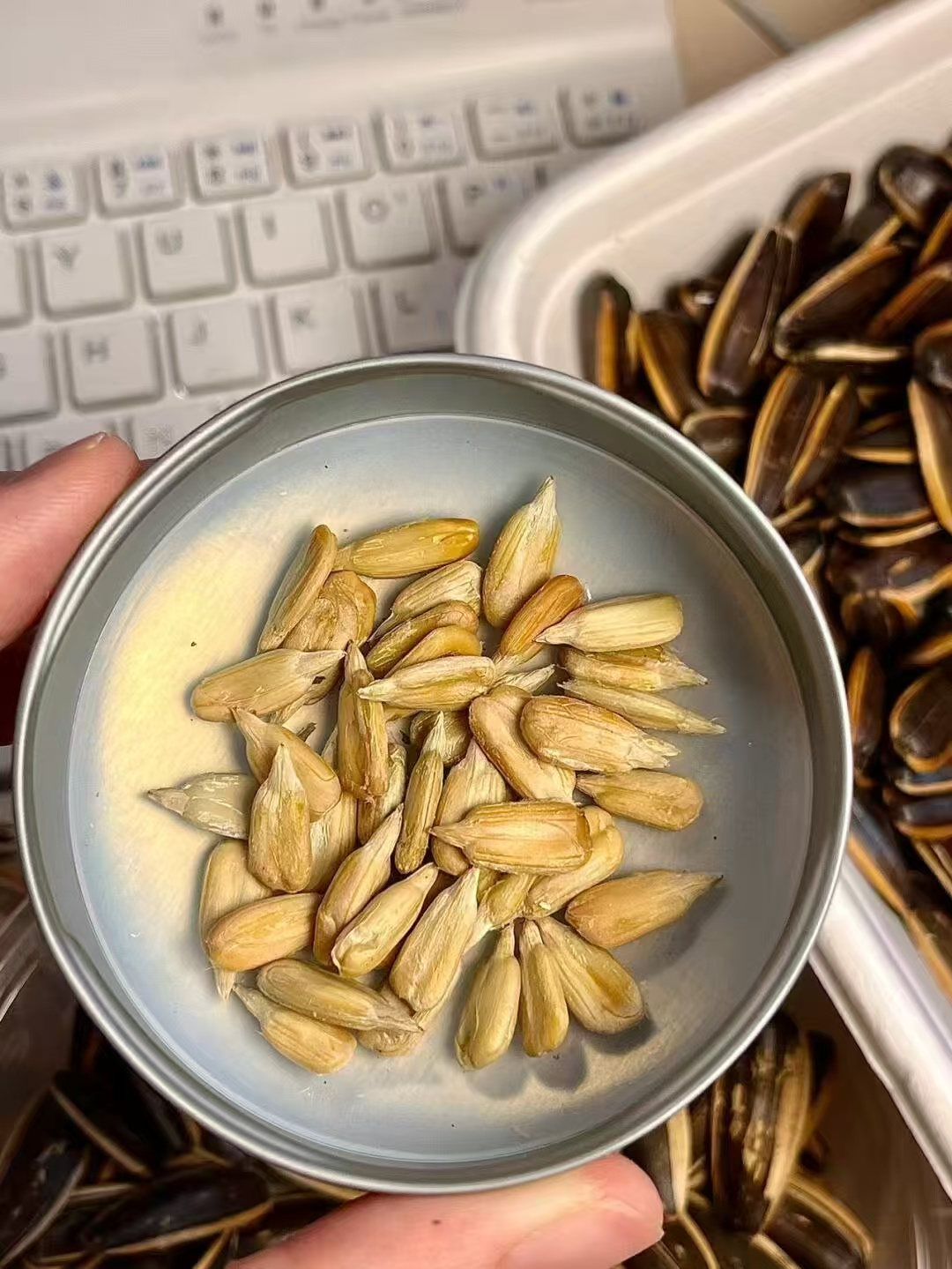 洽洽瓜子500g 3包 25.9元 - 86线报