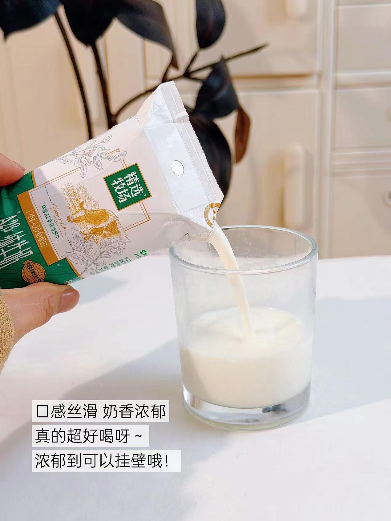 蒙牛精选牧场A2β纯牛奶200ml/盒 拍1共24盒 49.3元 - 线报酷