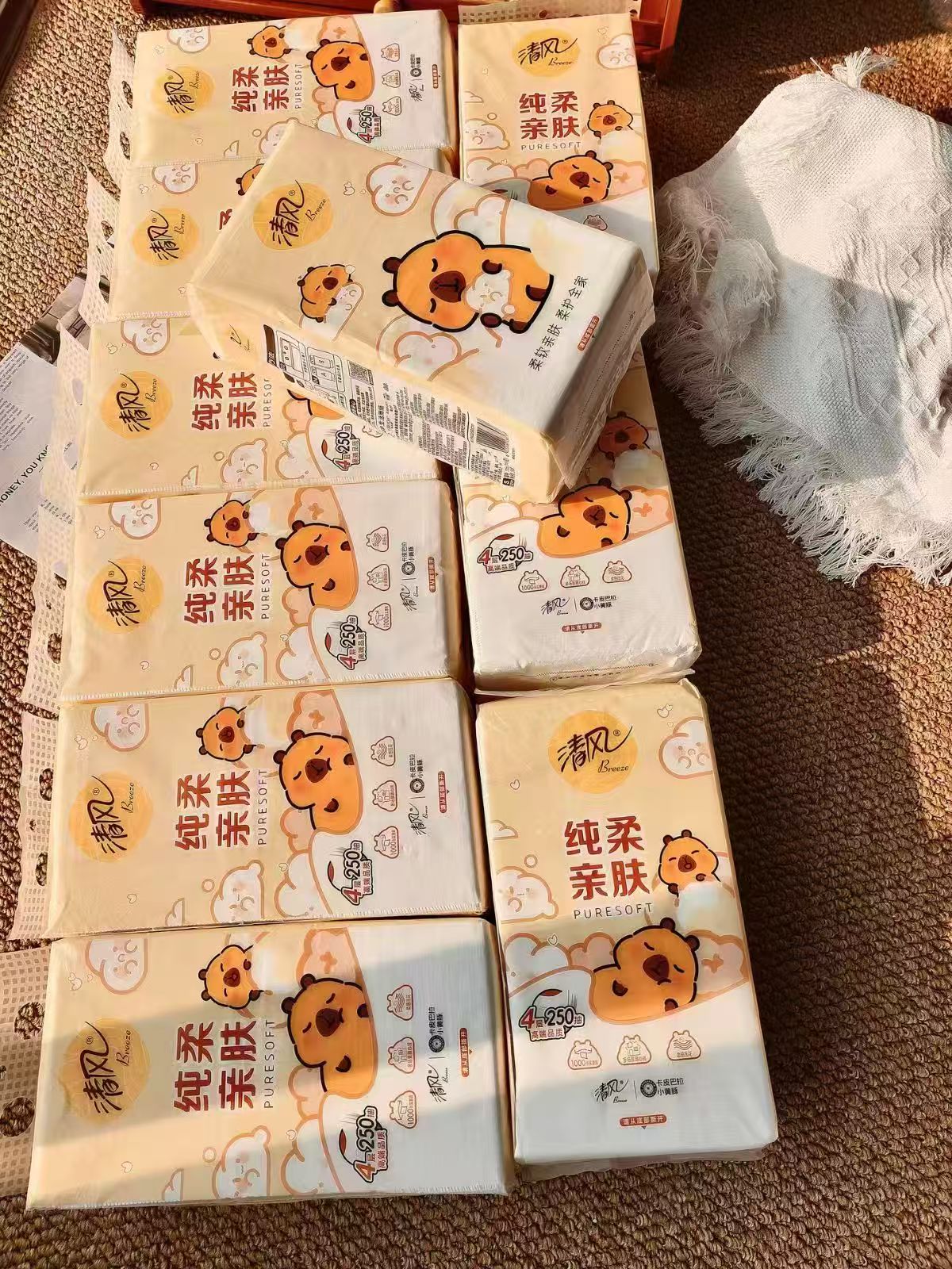 清风悬挂抽纸250抽*10提 24.9元 - 86线报