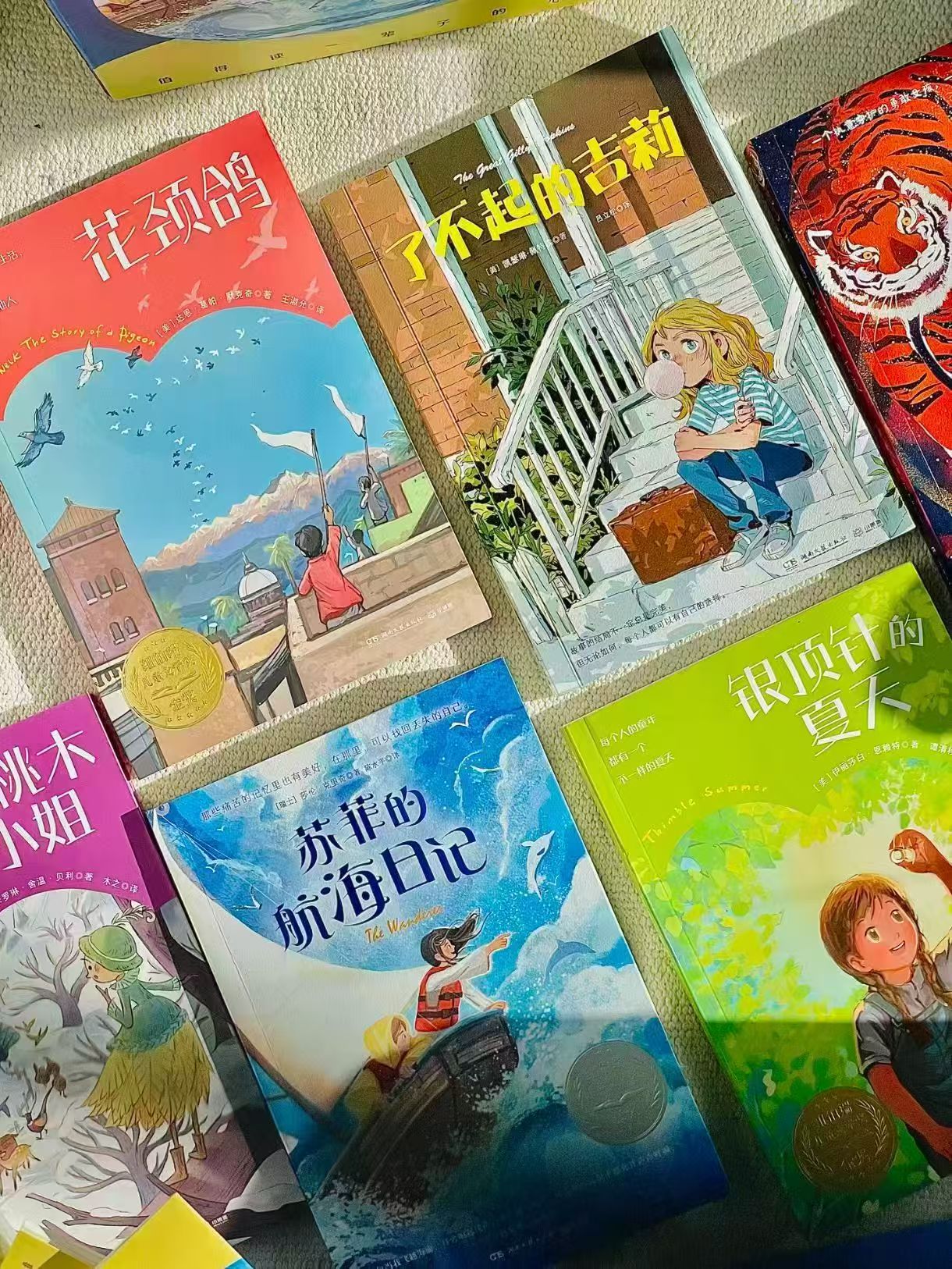 极光国际儿童文学经典心灵礼盒全10册 95.9元 - 86线报