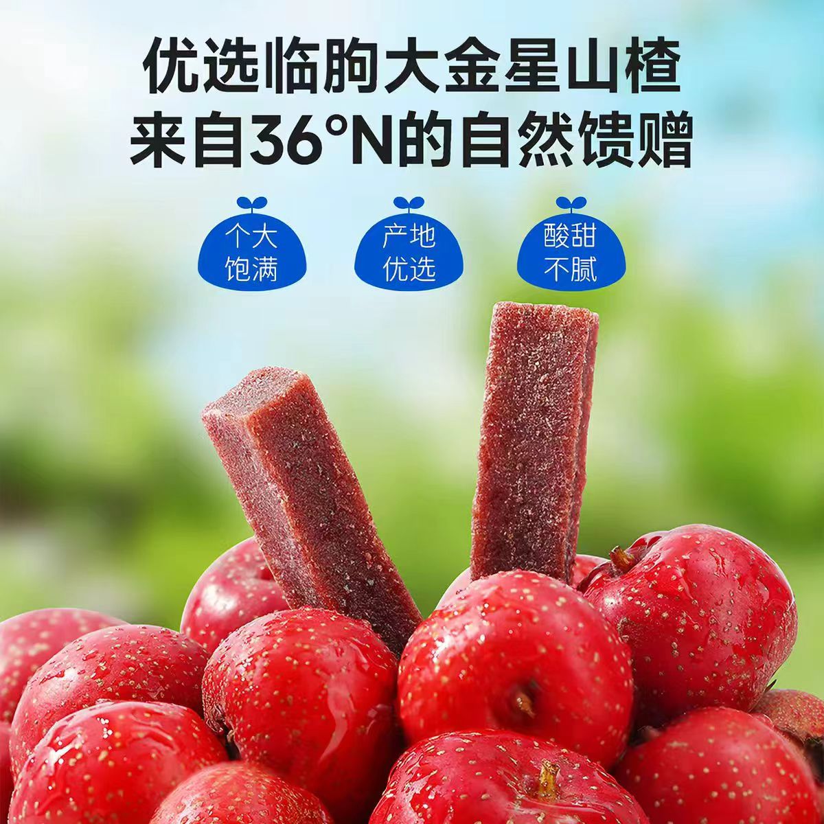 力诚宝宝桑葚山楂条2袋 9.9元 - 86线报