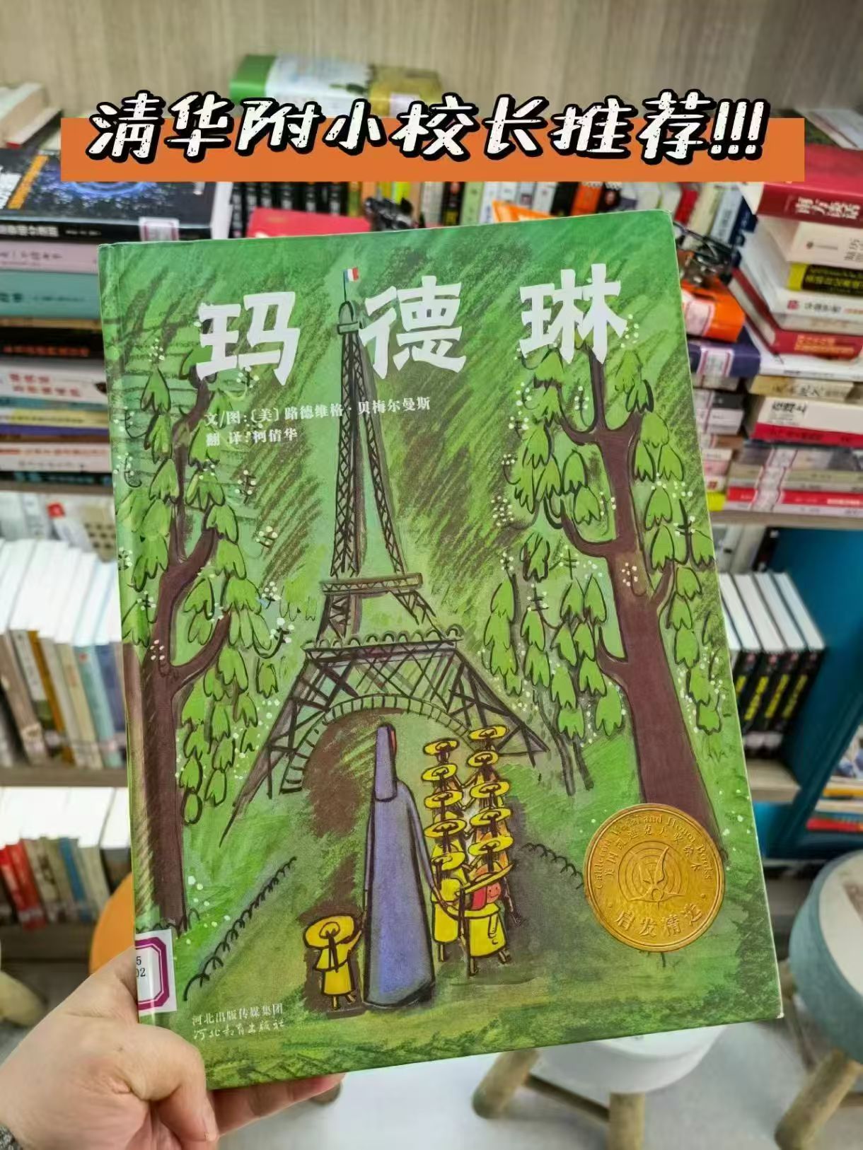 玛德琳凯迪克大奖 12元 - 86线报