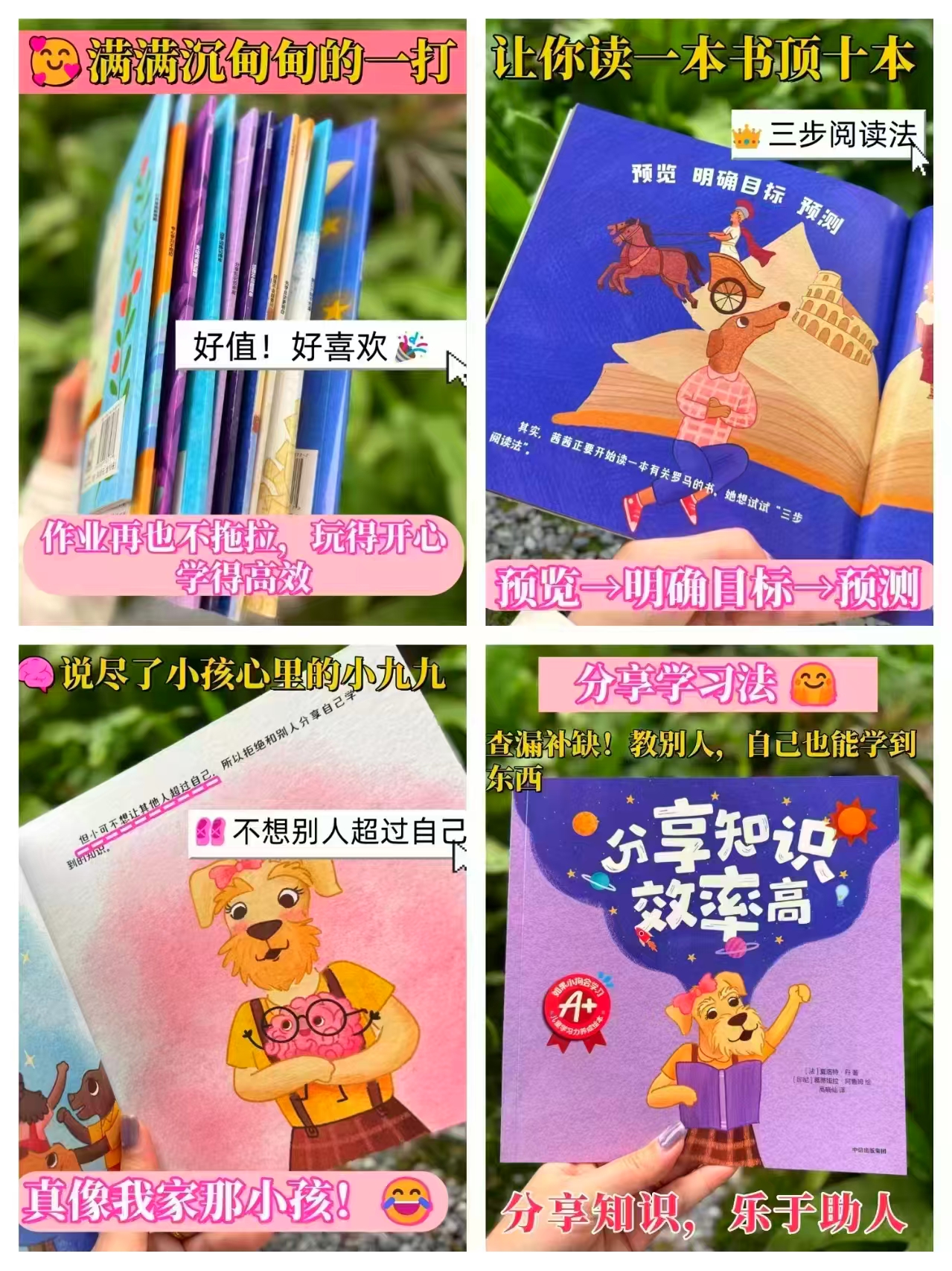 如果小狗会学习全10册 47.9元 - 86线报