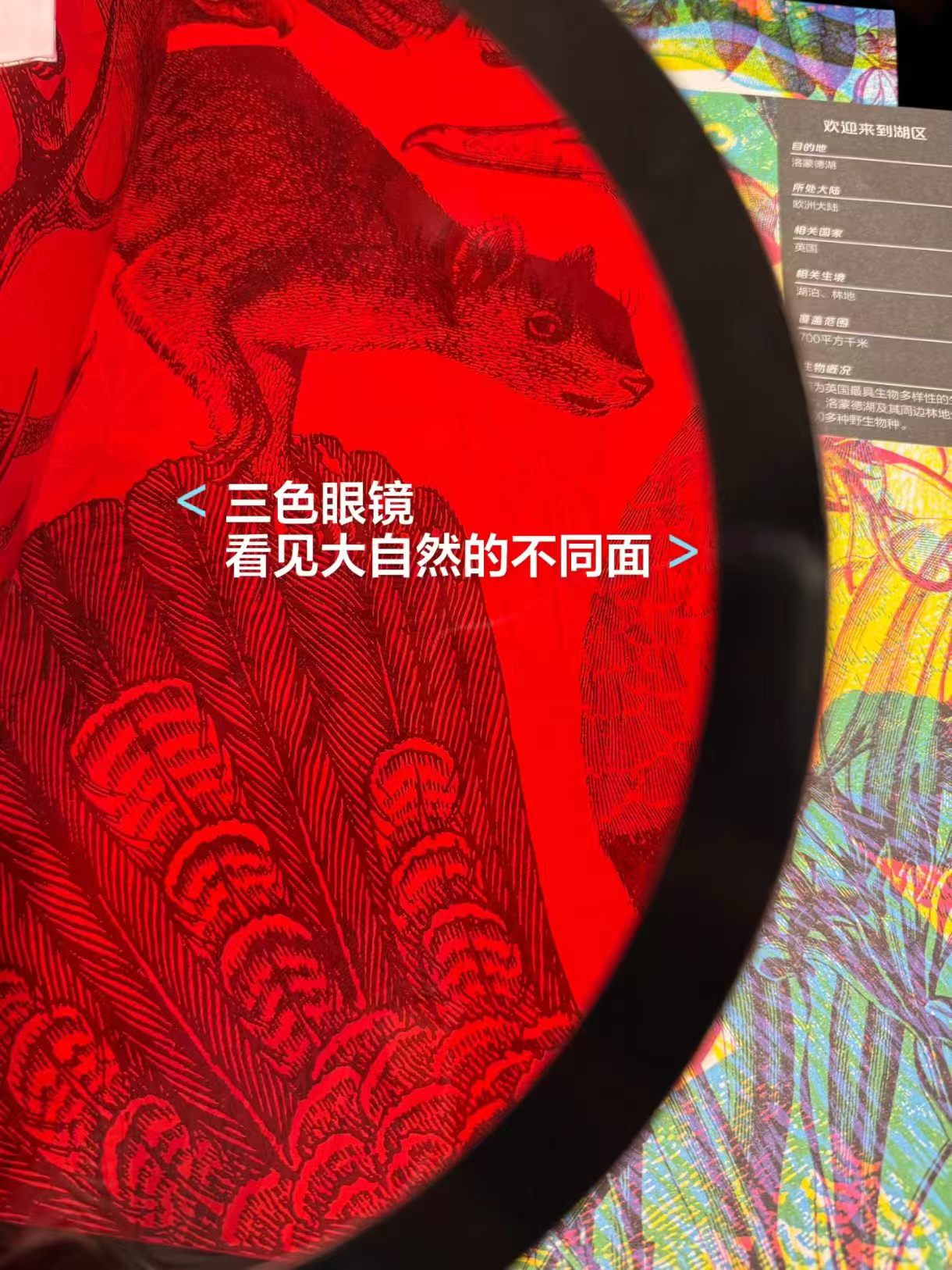 📚点亮自然💰53.3❗️ 三色滤镜科普读物 探索世界十大神秘栖息地 - 86线报