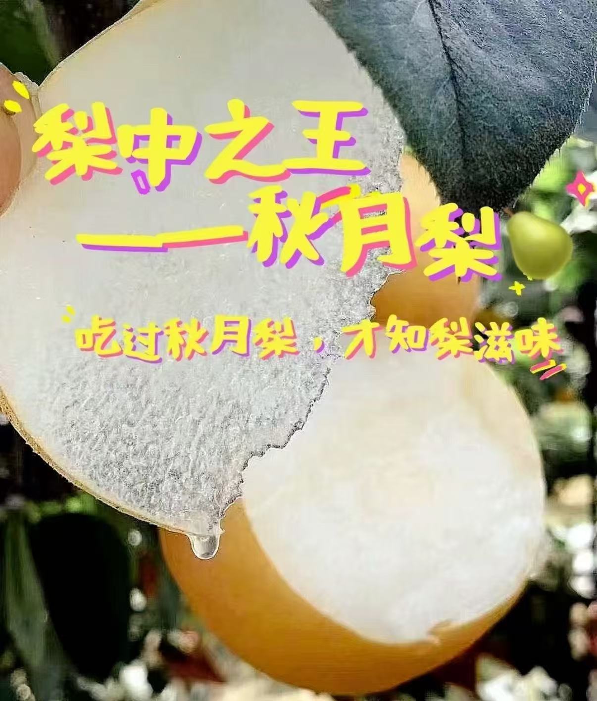 净重4斤💰19.9‼折4.9𝒓/斤 去燥之王者水果 秋月梨🍐一 口下去 全是甜蜜 - 86线报