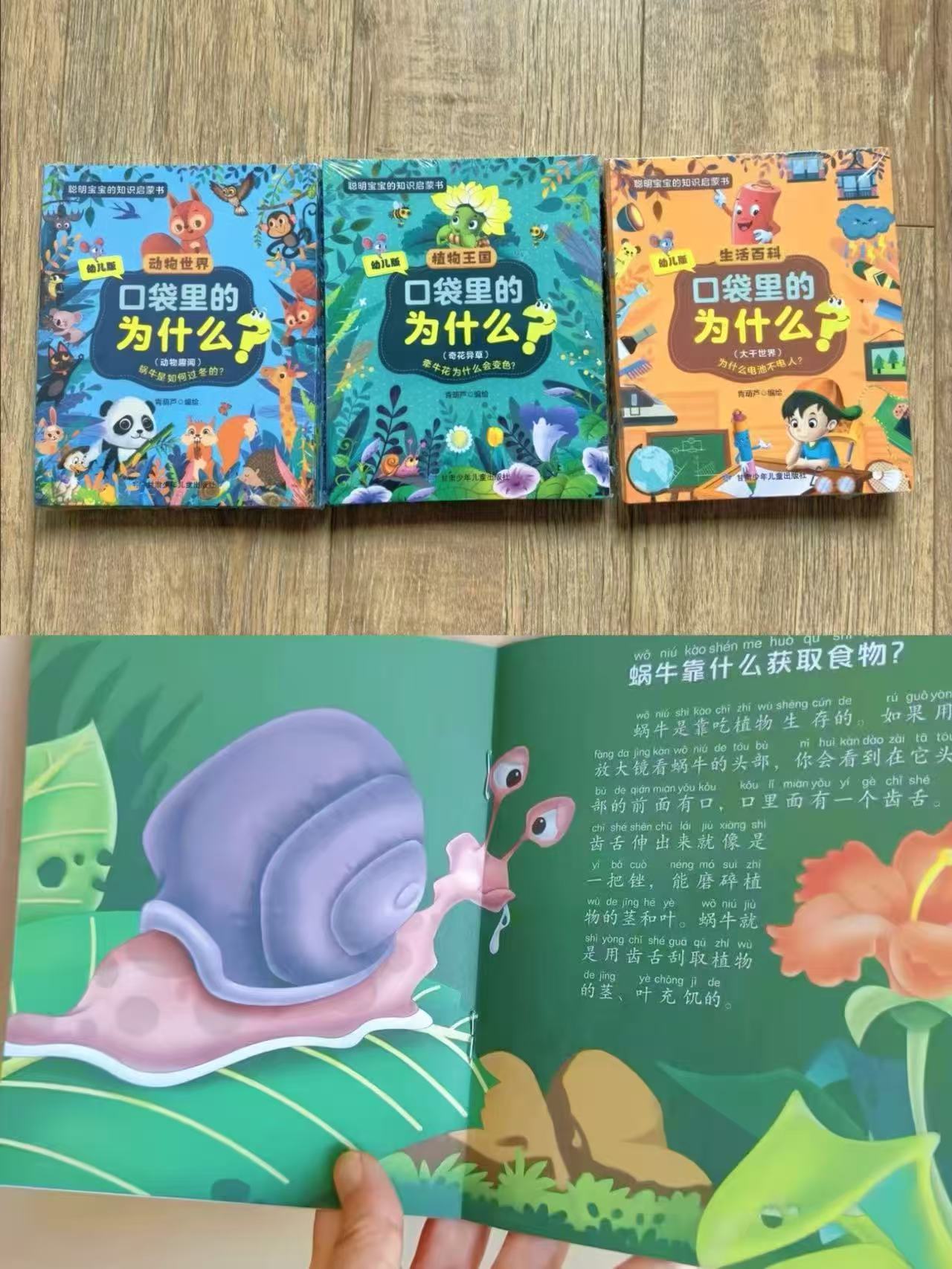 📚口袋里的为什么 注音版科普百科绘本 💰0.49🉐️1册❗️超直‼️ - 86线报
