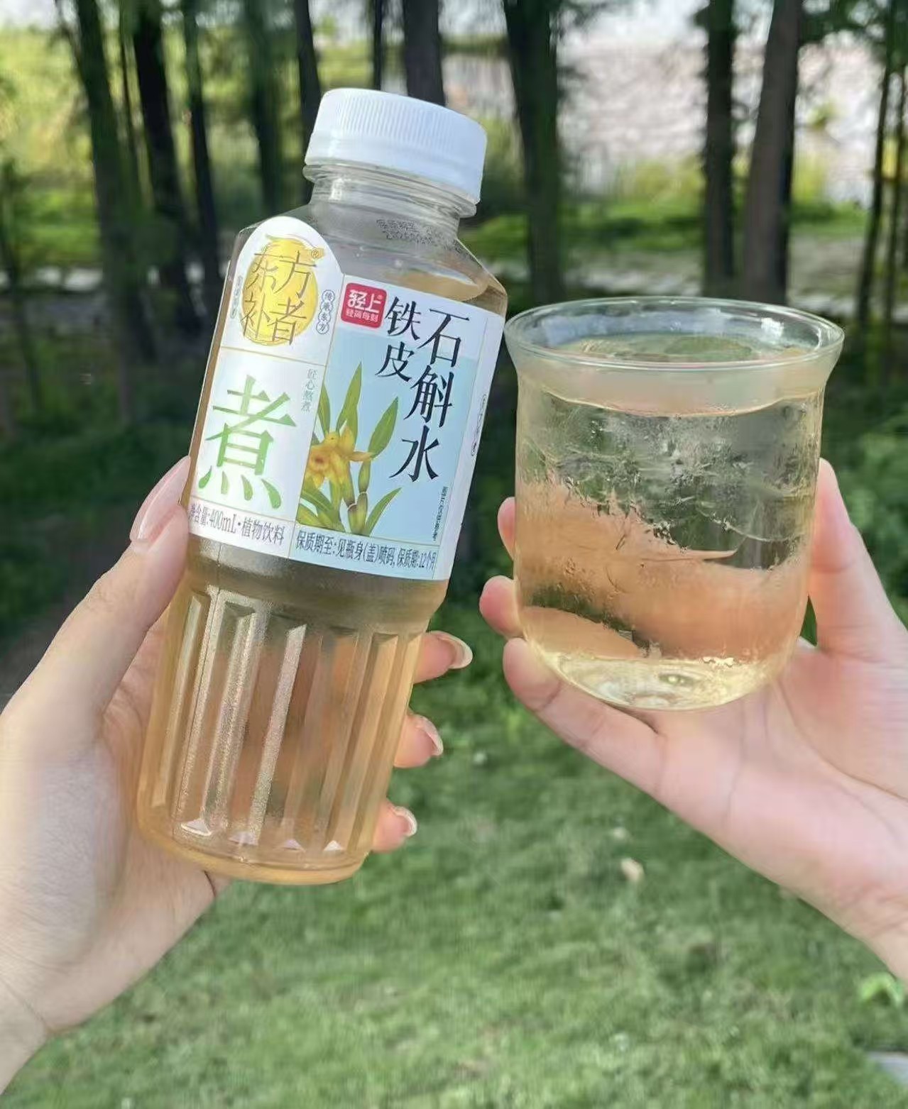 轻上东方补者铁皮石斛水400ml✘6瓶 13元 - 清风线报