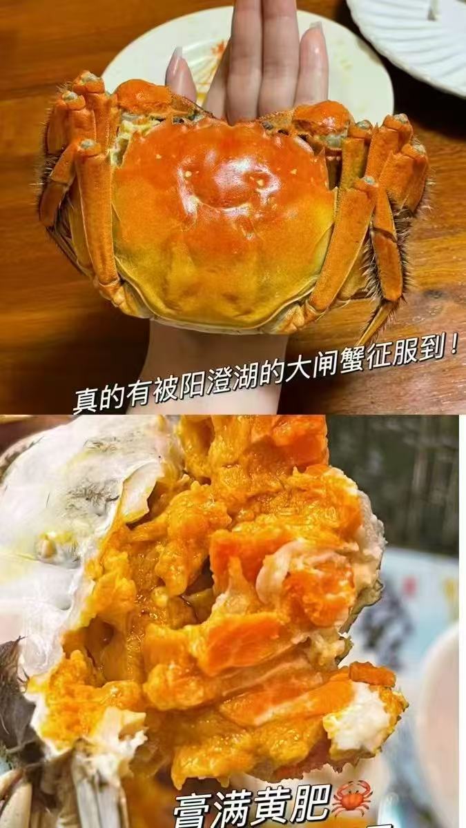 速‼阳澄联合大闸蟹礼卷🦀 4只共8对💰243 折30/只 - 清风线报