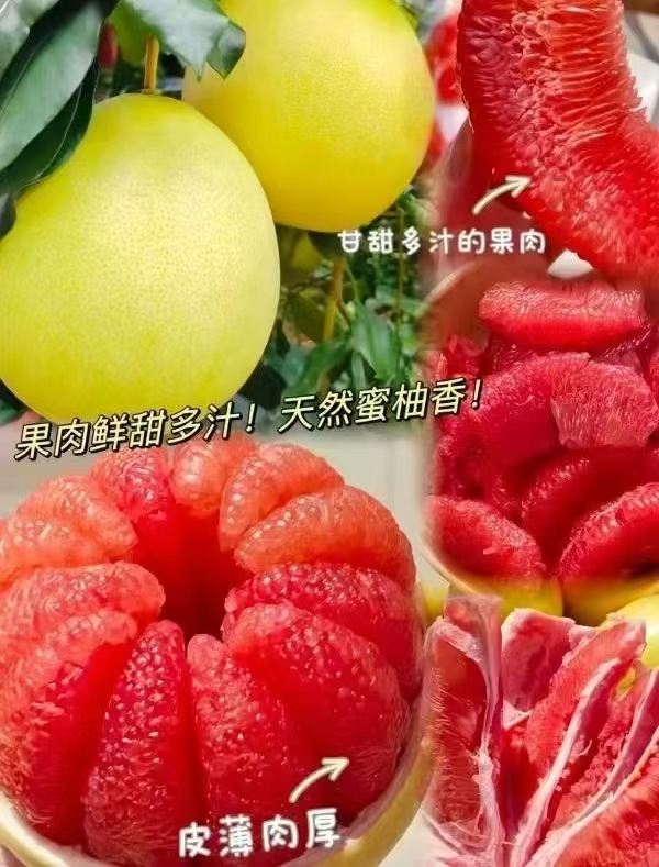 福建平和红心蜜柚带箱8-9斤 23.8元 - 折送网