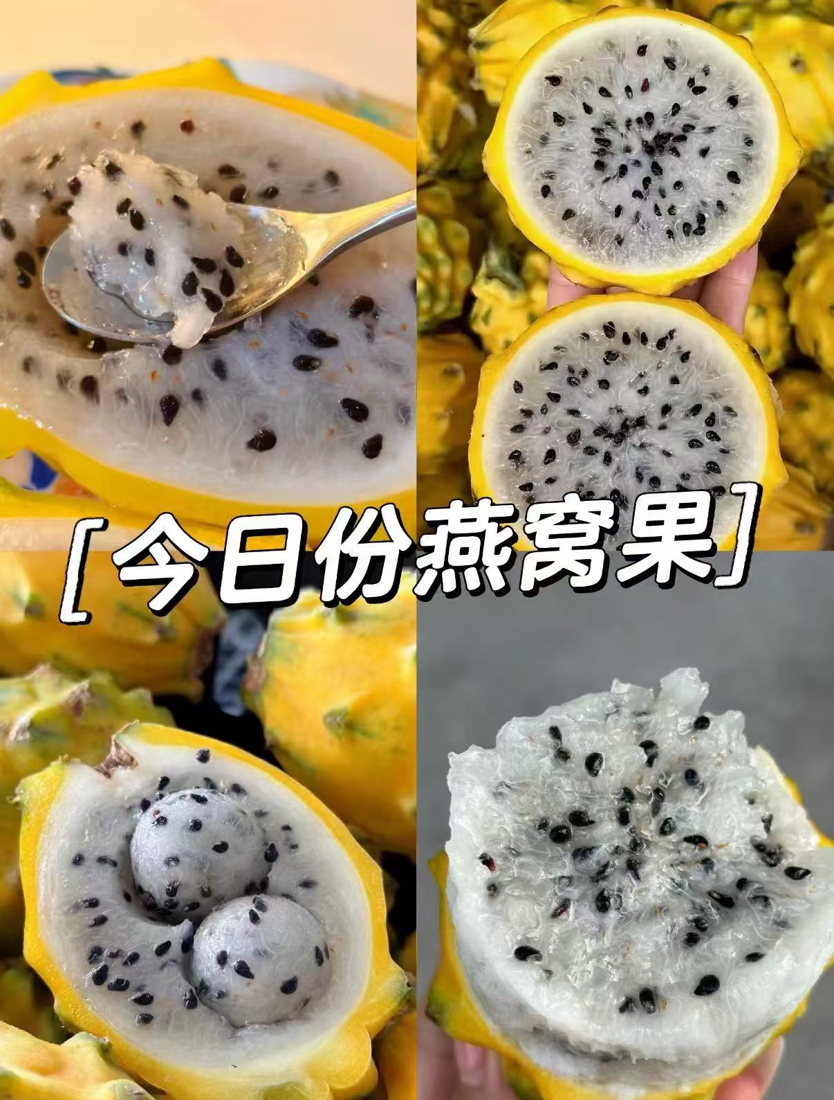 京鲜生云南燕窝麒麟果净重2斤单果150g+礼盒装 36.9元 - 线报酷