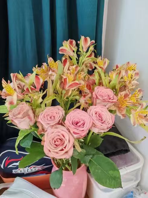 京东鲜花教师节礼物随机颜色共30只玫瑰+康乃馨+六初各10枝 19.8元 - 线报酷