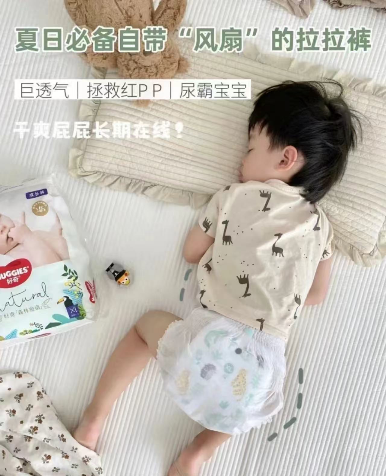 ⭕破价‼好奇森林密语 ????仅51.5/包❗速度‼ ????仅51.5/包❗速度‼ - 折送网
