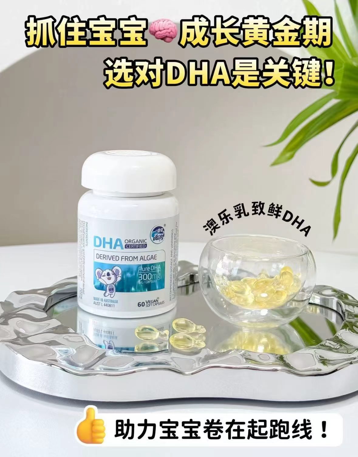 澳乐乳有机致鲜DHA藻油60粒 拍1含赠发2瓶共168元 - 86线报