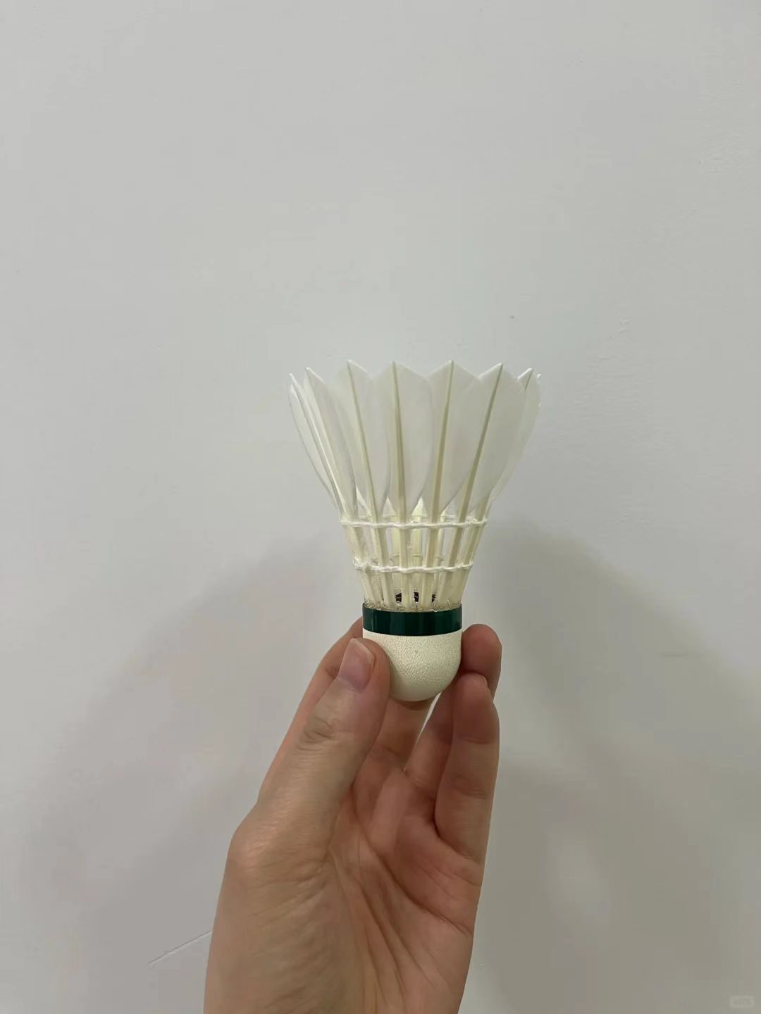 华美特级鹅毛羽毛球???? 耐打度好 飞行稳定‼️ ✅GT900 12只????176.9 - 折送网