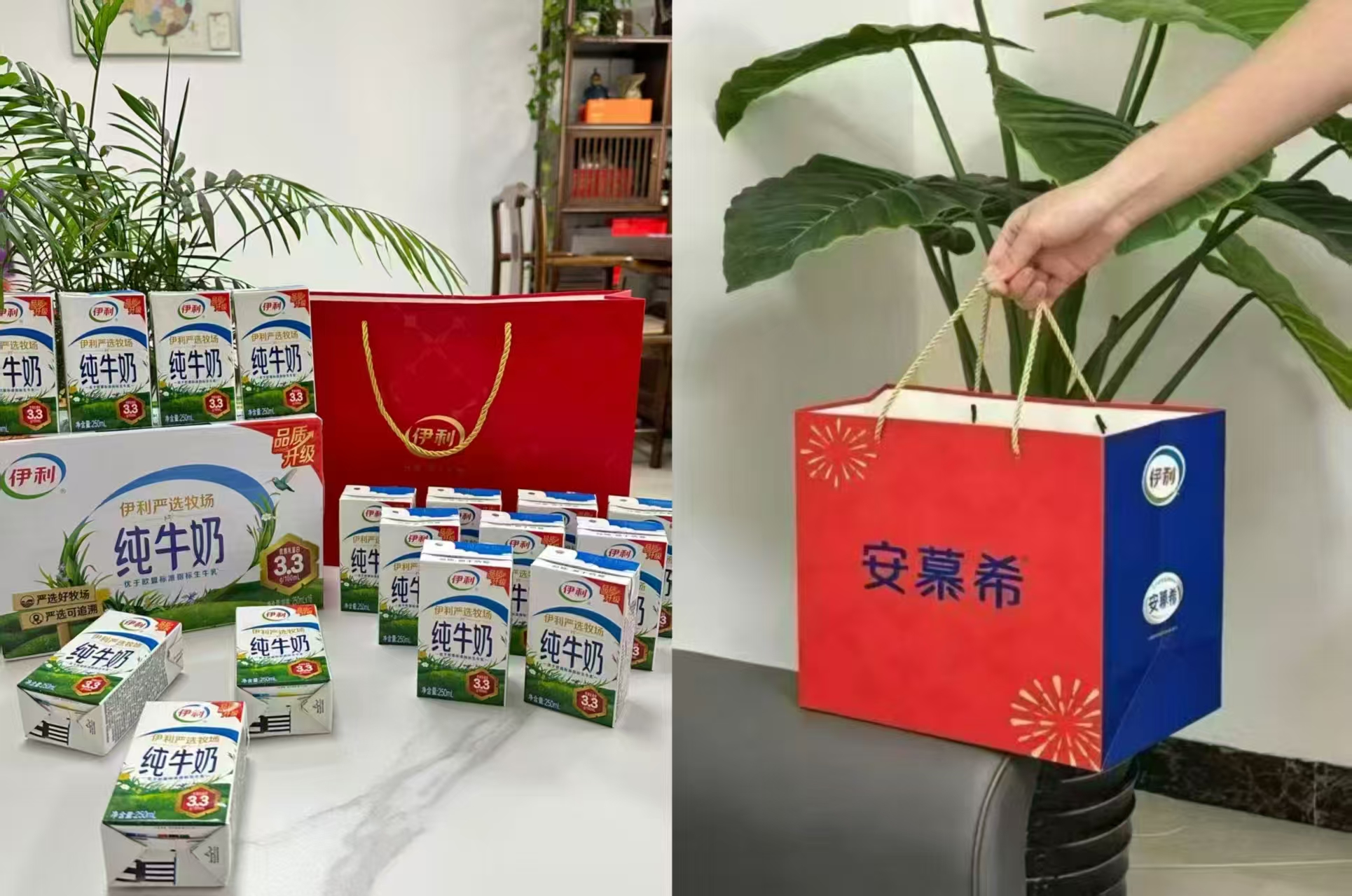 伊利纯牛奶12盒✘2箱 39.5元，安慕希酸奶10盒✘2箱 57.4元 - 86线报