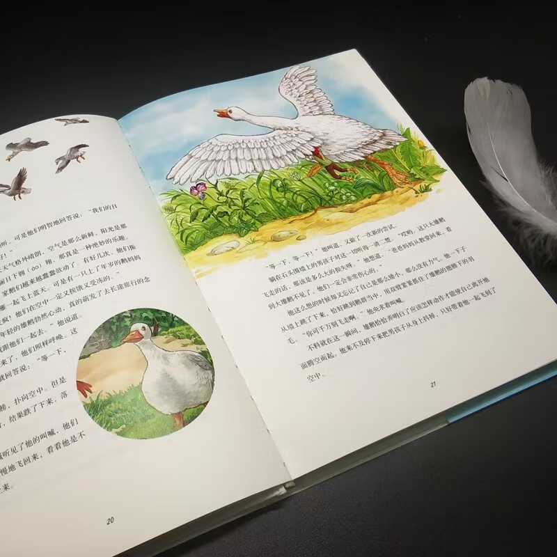 尼尔斯骑鹅旅行记美绘珍藏版 23.7元 - 86线报
