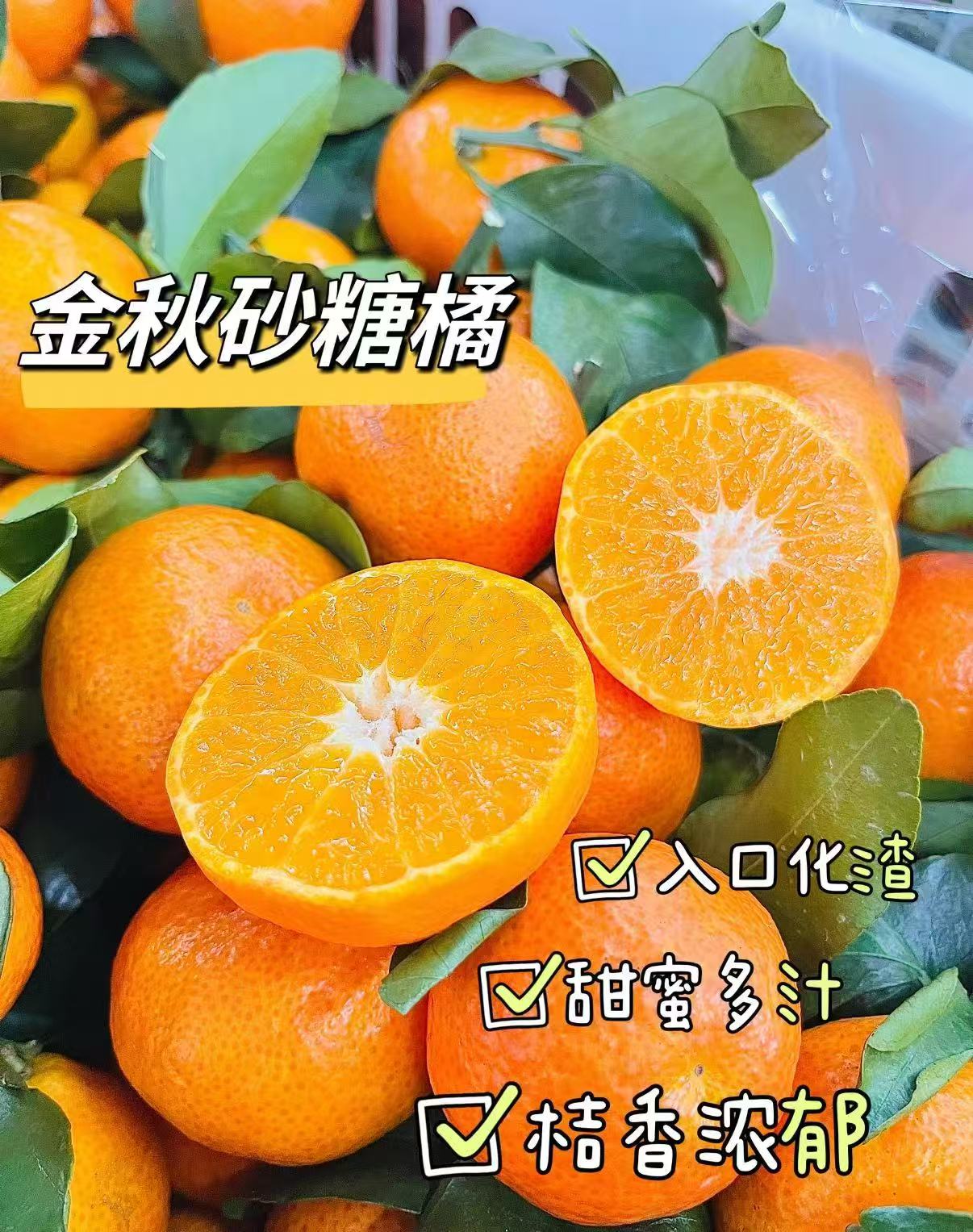 京鲜生金秋砂糖橘礼盒5斤装赠2粒柚子 49.9元 - 86线报