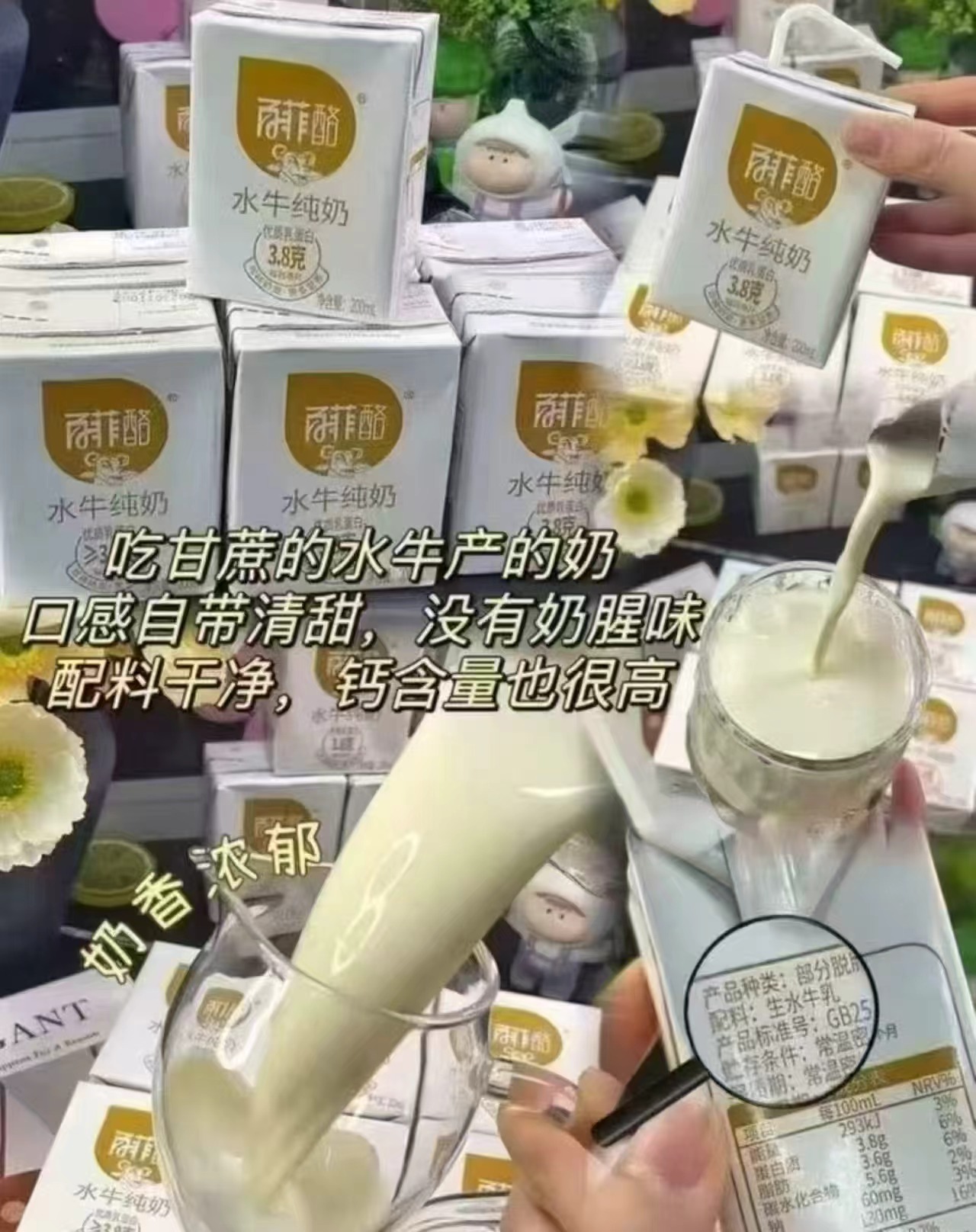 百菲酪3.8水牛纯牛奶200ml*10盒*3箱 93.8元 - 折送网 百菲酪3.8水牛纯牛奶200ml*10盒*3箱 93.8元 - 折送网