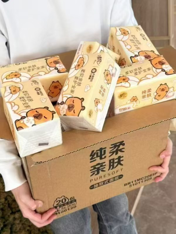 清风卡皮巴拉抽纸90抽*20包 24.9元 - 86线报