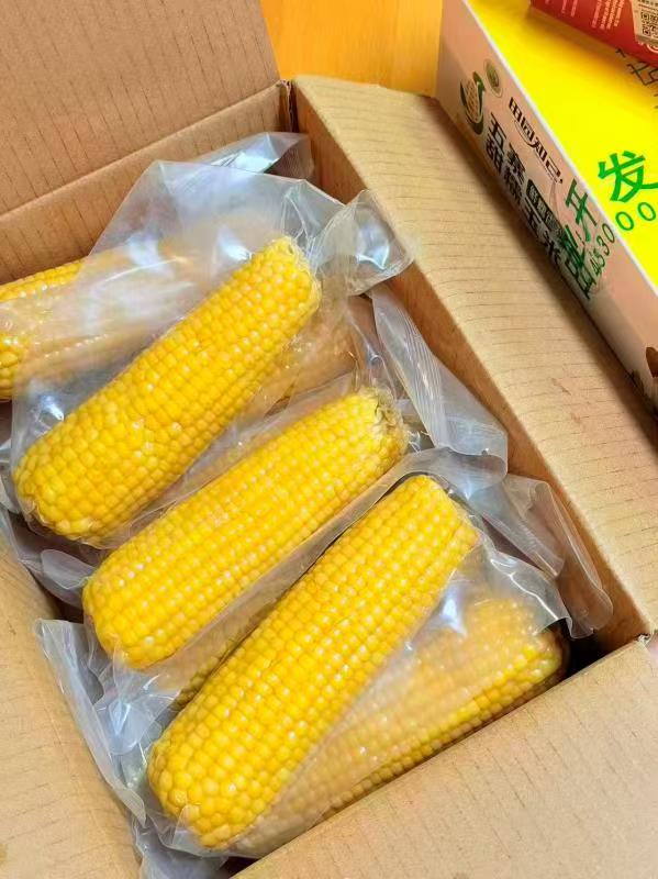 田园知己甜糯玉米共8根 14.9元 - 86线报