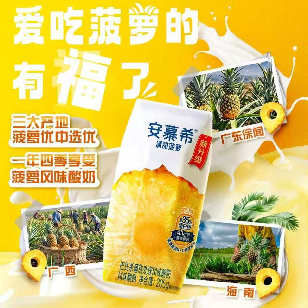 安慕希菠萝味酸奶205g×12盒×2箱 59.8元 - 86线报