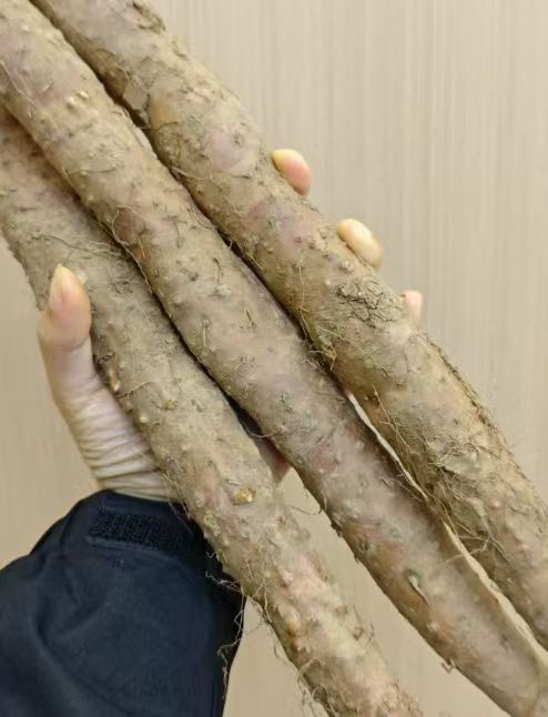 京觅焦作温县垆土铁棍山药5斤 31元 - 86线报
