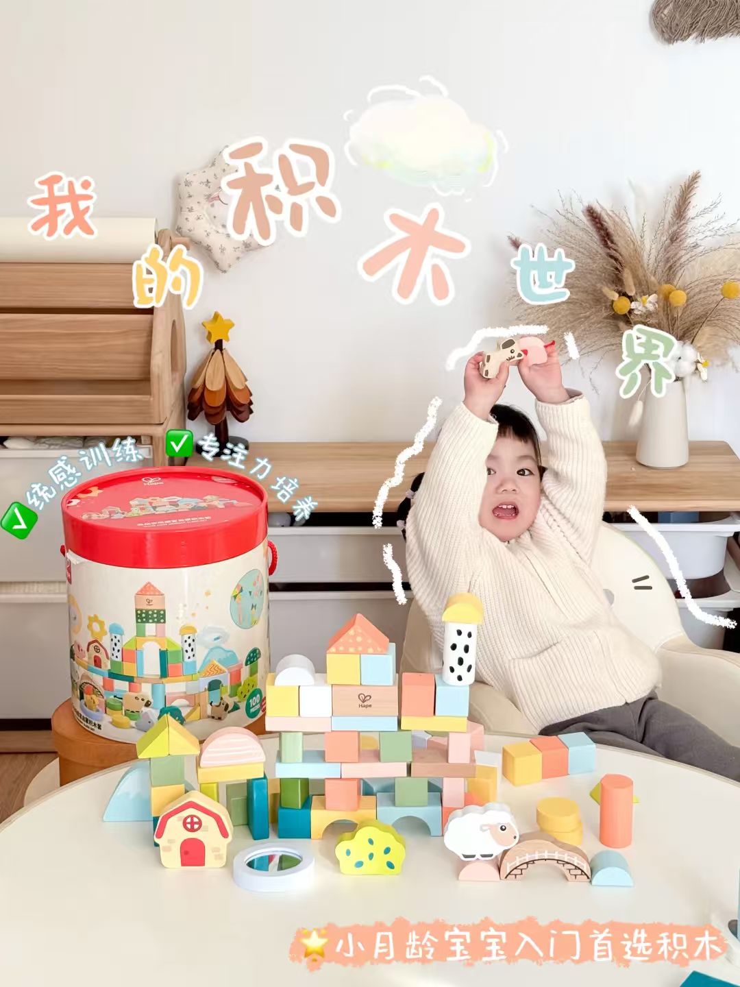 Hape大颗粒云朵农场积木桶100粒 80元 - 86线报