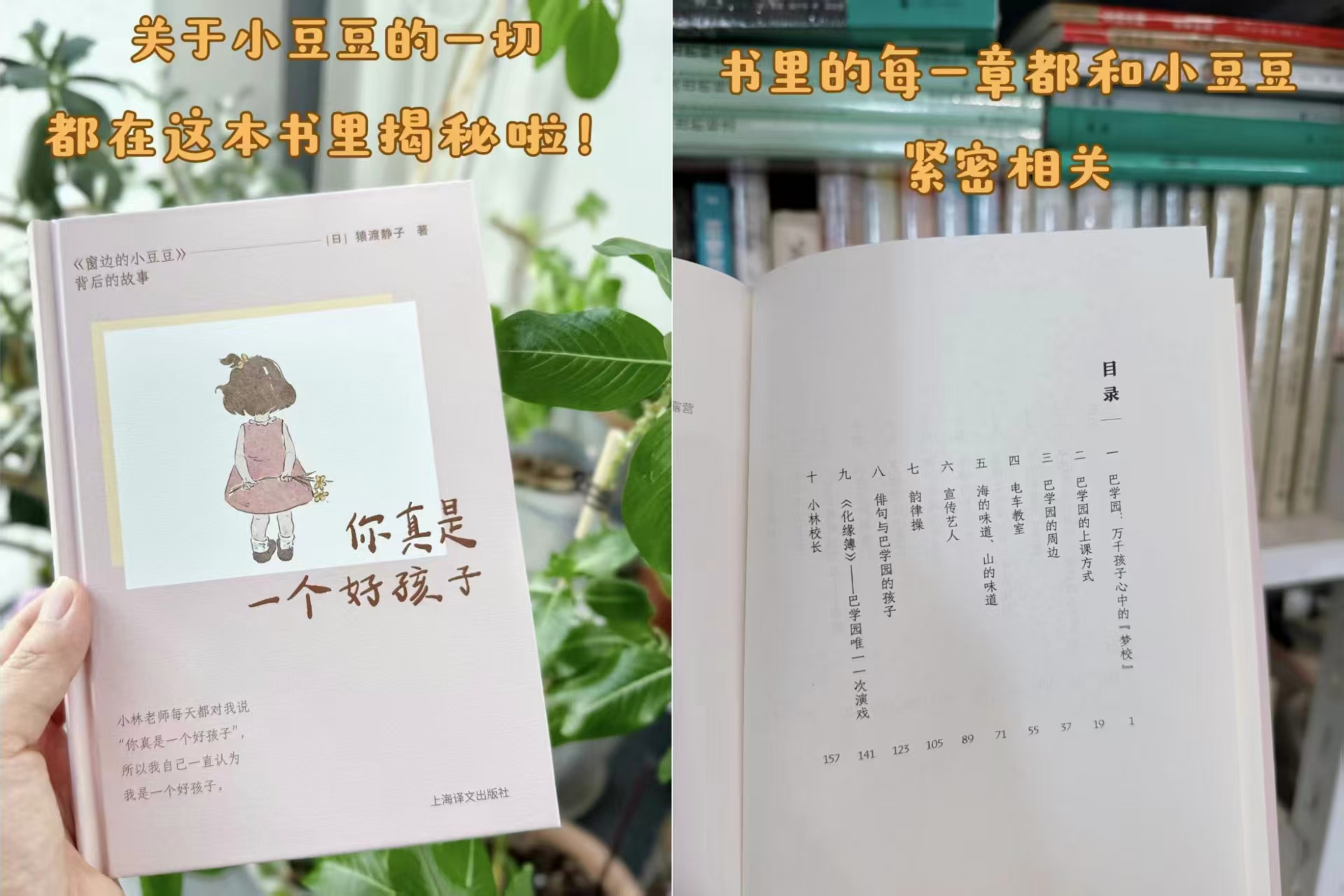 窗边的小豆豆背后的故事 41元 - 86线报