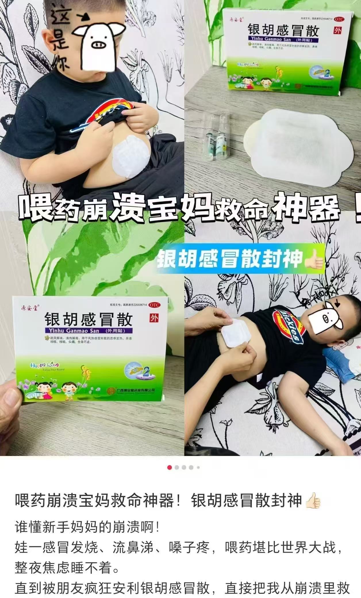 源安堂银胡感冒散2.2g 6袋 58.9元 - 折送网