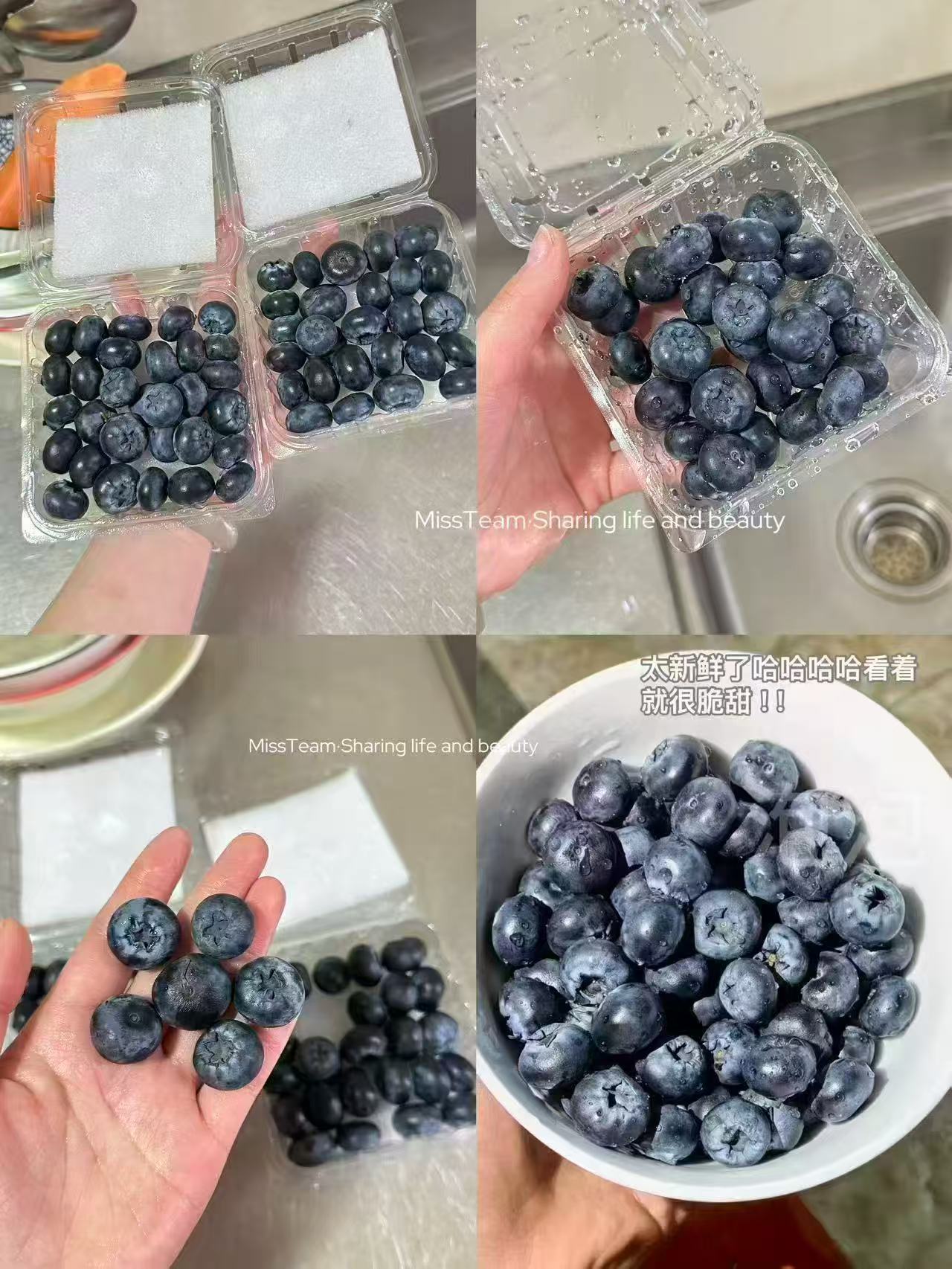 京觅云南蓝莓4盒中果15mm×100g 拍1发4盒 39元 - 线报酷
