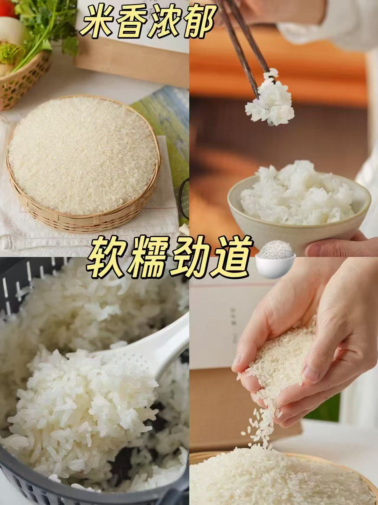 点石制笔扭转次元巨能刷中性笔0.5mm按动式双珠黑笔 拍黑芯6支 10.35元 - 86线报