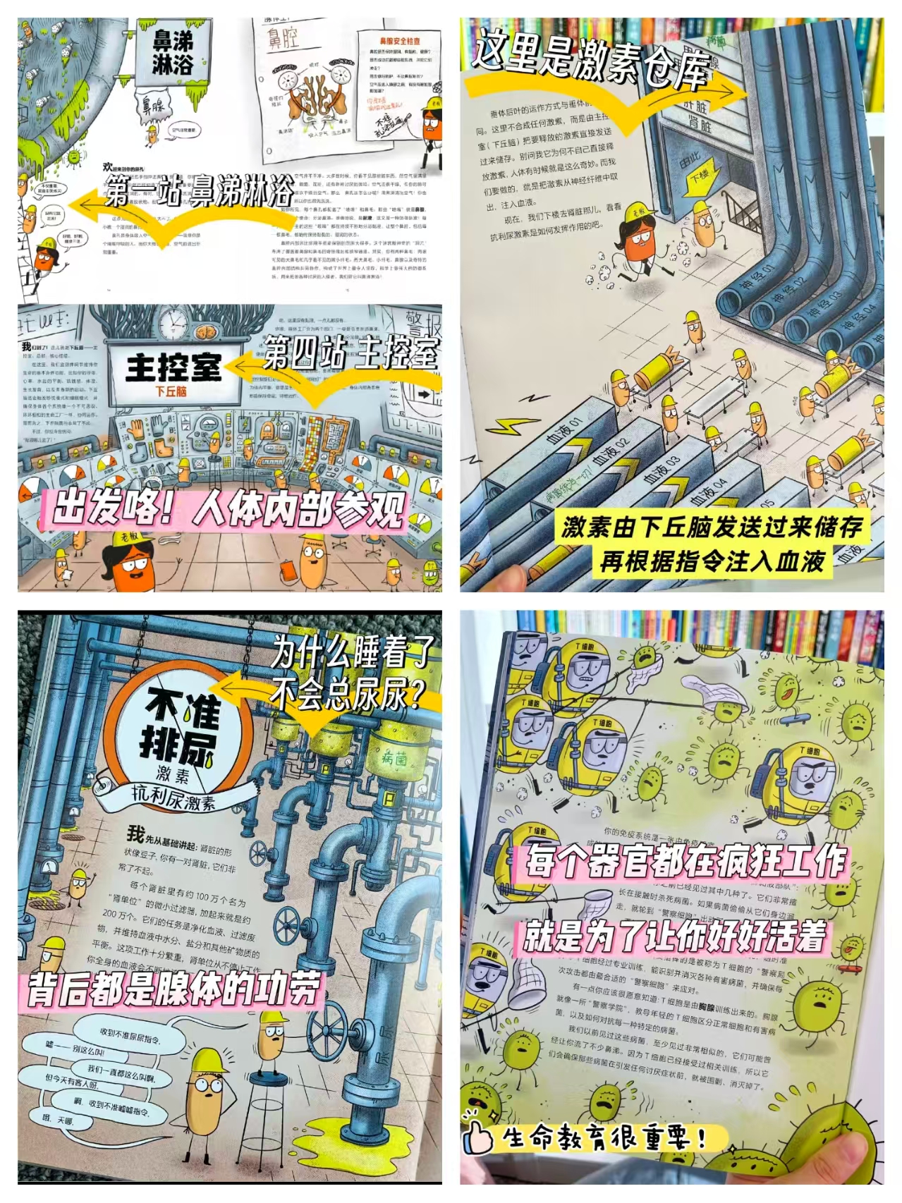 中信出版社身体里有个超级工厂（精装）7-12岁 23.8元 - 86线报