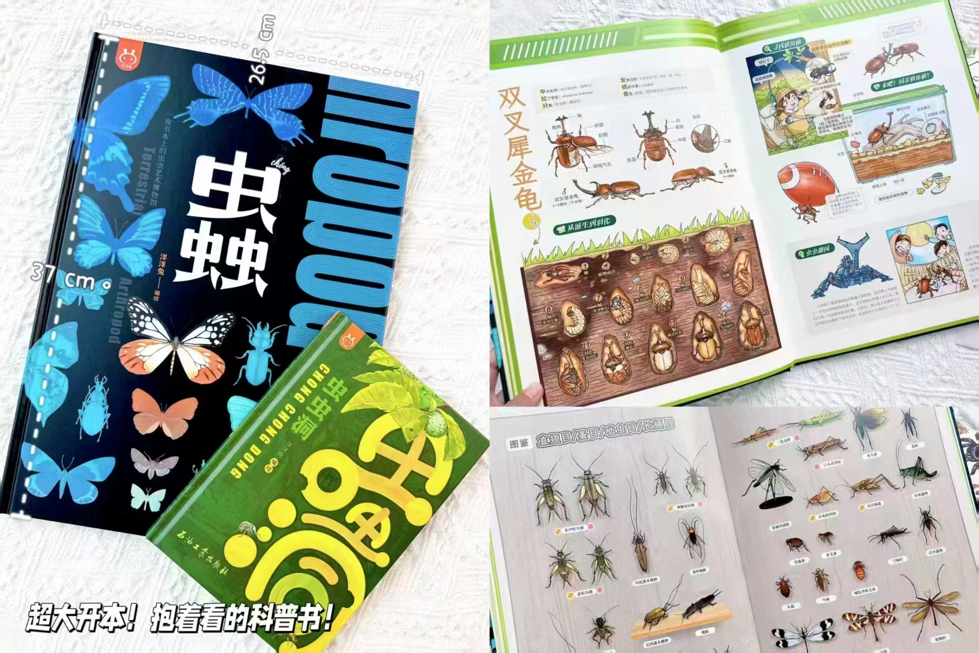 洋洋兔动漫虫虫艺术博物馆+虫虫洞套装2册 49.3元 - 线报酷 洋洋兔动漫虫虫艺术博物馆+虫虫洞套装2册 49.3元 - 线报酷