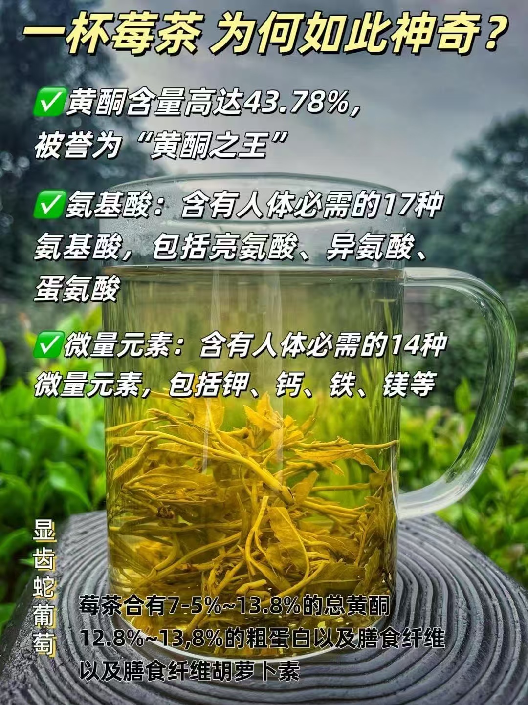 天门郡张家界莓茶芽尖养生茶58g×2罐装 赠手提袋+试饮装2包 88元 - 86线报