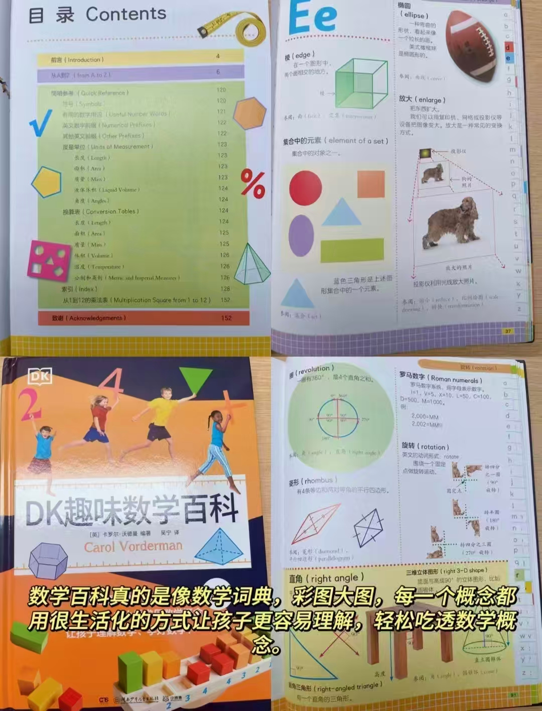 小博集趣味数学百科6-14岁图解数学百科涵盖中小学常见数学概念适合小 29.4元 - 86线报