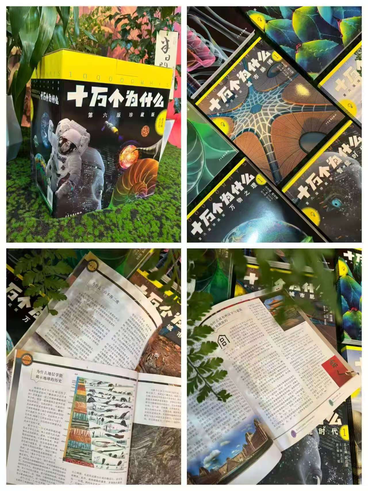 京东文轩网旗舰店十万个为什么第六版珍藏版全套72册6-12岁青少年 208.5元 - 86线报
