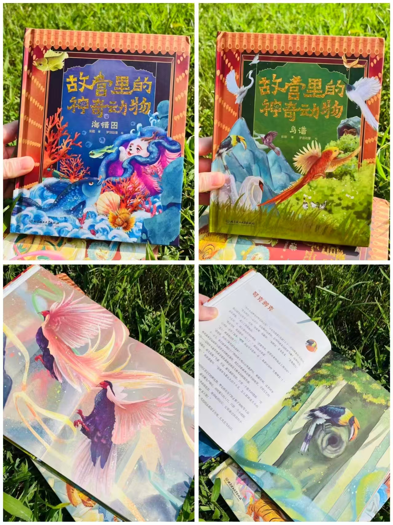 海错图 16.8元 - 86线报