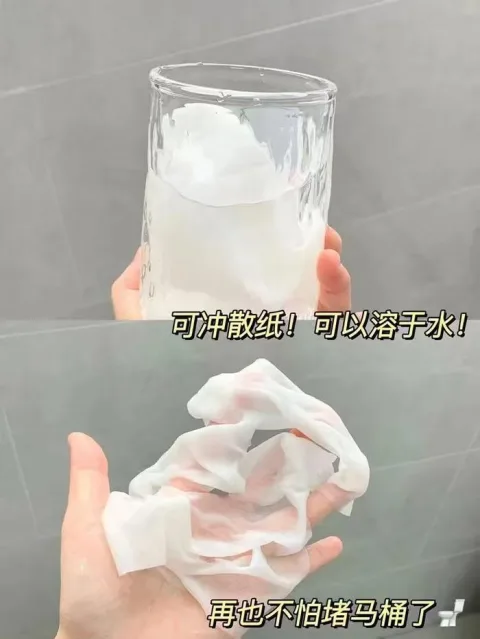 维达多巴胺湿厕纸60片6包洁厕家用私处湿巾湿厕巾厕所专用湿纸巾 图片 6
