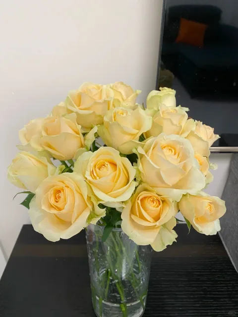 京东鲜花云南昆明基地随机色玫瑰买20枝送10枝鲜花源头直发 图片 6