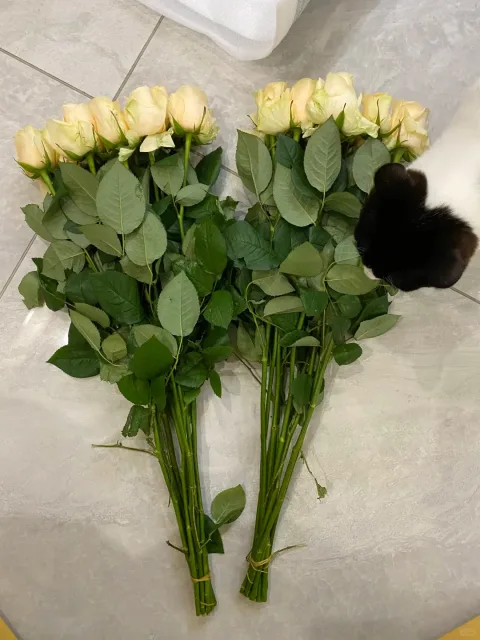 京东鲜花云南昆明基地随机色玫瑰买20枝送10枝鲜花源头直发 图片 4