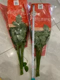京东鲜花云南昆明基地随机色玫瑰买20枝送10枝鲜花源头直发 图片 3